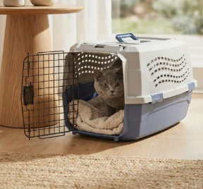 TAŞIMA ÇANTALARI VE ARABALAR