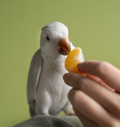 VİTAMİN VE TAKVİYELER