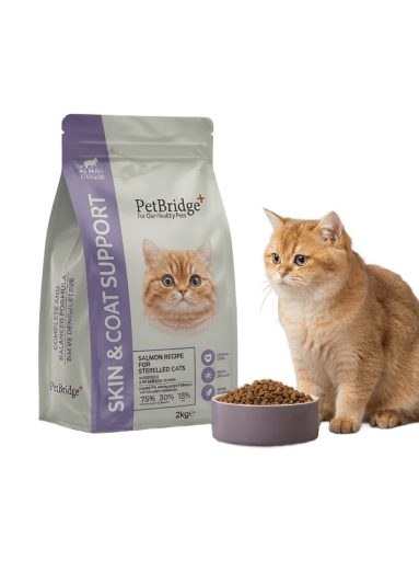 KEDİ KURU MAMALAR 