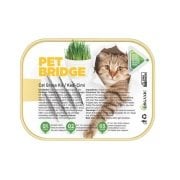 PETBRİDGE KEDİ ÇİMİ