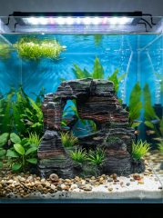 GS1683 AKVARYUM DEKORU 20,5 X 8 X 16 CM 215 GR