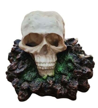 GR1201 AKVARYUM DEKORU 12.3*11.2*8 CM 210 GR