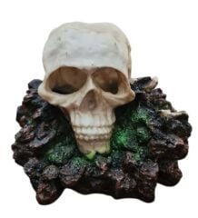 GR1201 AKVARYUM DEKORU 12.3*11.2*8 CM 210 GR