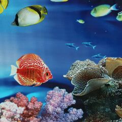 PST-001 AKVARYUM PET POSTER 30CM-15M