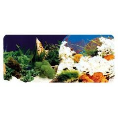 PST-001 AKVARYUM PET POSTER 30CM-15M