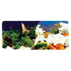 PST-001 AKVARYUM PET POSTER 30CM-15M