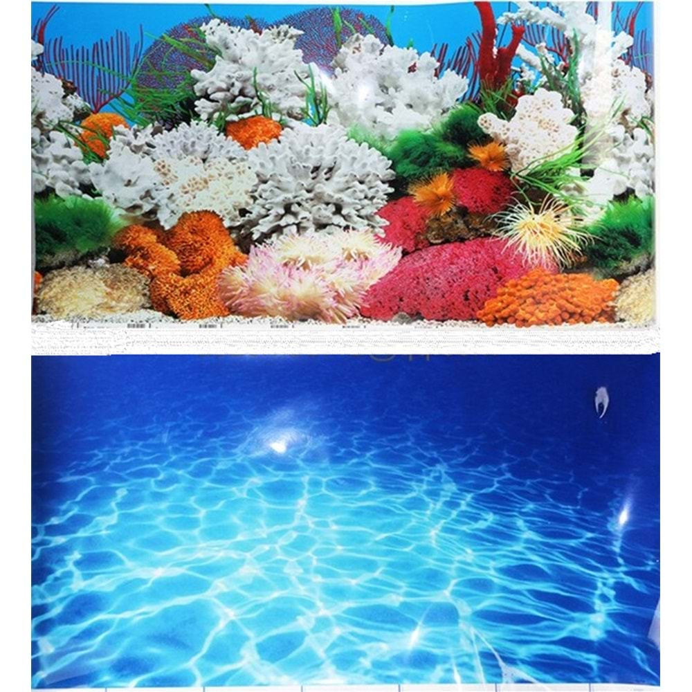 PST-004 AKVARYUM PET POSTER 60 CM-15M
