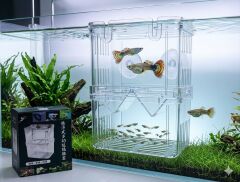 00602 ISOLATION BOX YAVRU AYIRMA KABI