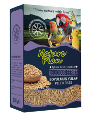 NATURE PLAN DELİCİOUS SOYULMUŞ YULAF 250GR (KUTU İÇİ 12 ADETTİR)