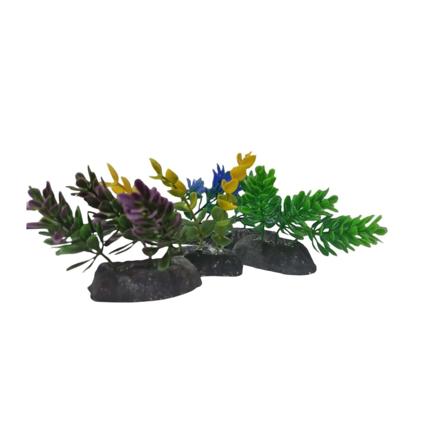 TUĞPET 110 8 CM 10'LU BİTKİ