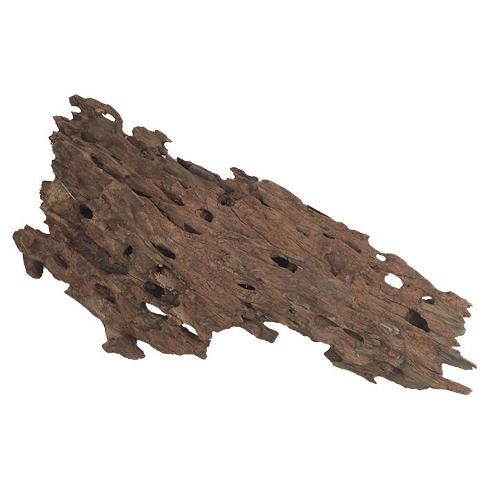 NATURAL DRAGON WOOD 15-50CM (9-10KG KOLİ)