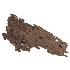 NATURAL DRAGON WOOD 15-50CM (9-10KG KOLİ)