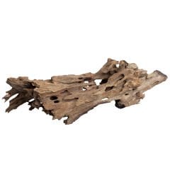 NATURAL DRAGON WOOD 15-50CM (9-10KG KOLİ)
