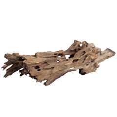 NATURAL DRAGON WOOD 15-50CM (9-10KG KOLİ)