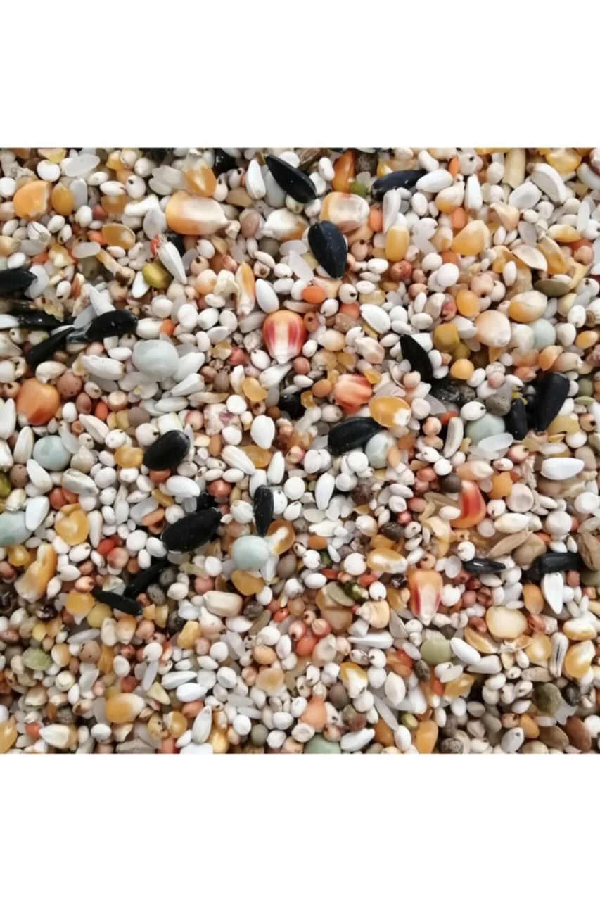 10 KG GÜVERCİN YEMİ