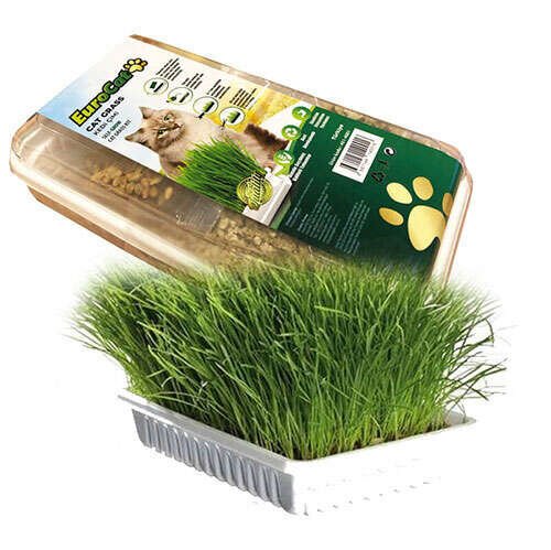 EUROCAT KEDİ ÇİMİ