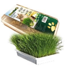 EUROCAT KEDİ ÇİMİ