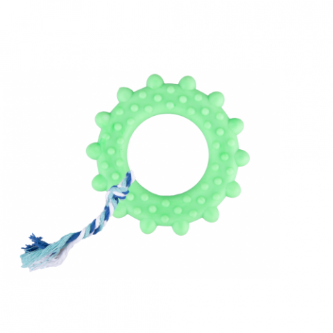 CANS GÜNEŞ OYUNCAK