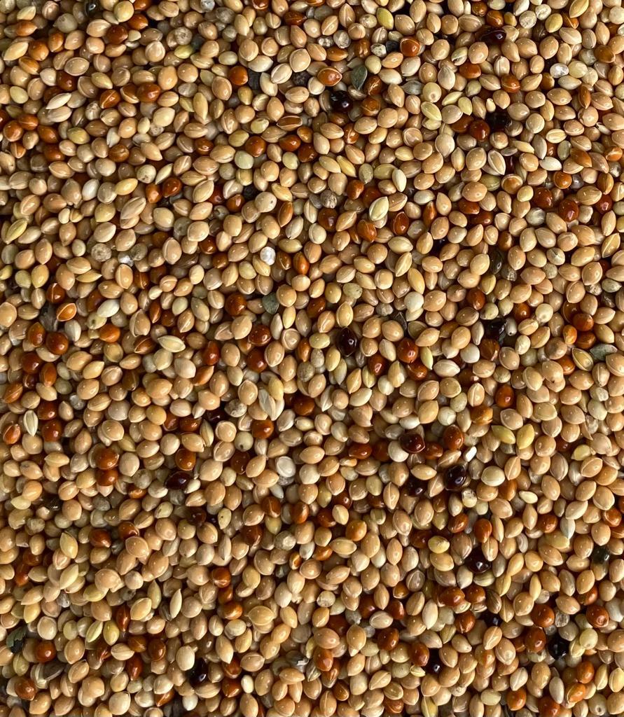 EKO MUHABBET KUŞ YEMİ 25 KG