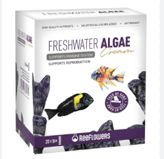 FRESHWATER ALGAE CREAM 5GR (KUTU İÇİ 20 ADETTİR)