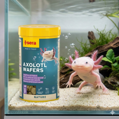 SERA AXOLOTL WSFWE 250 ML