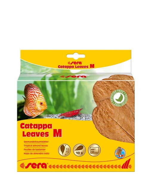 SERA CATAPPA YAPRAĞI M 18 CM ( 10 ADET)