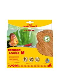 SERA CATAPPA YAPRAĞI M 18 CM ( 10 ADET)