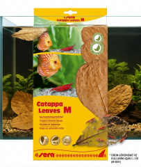 SERA CATAPPA YAPRAĞI M 18 CM ( 10 ADET)