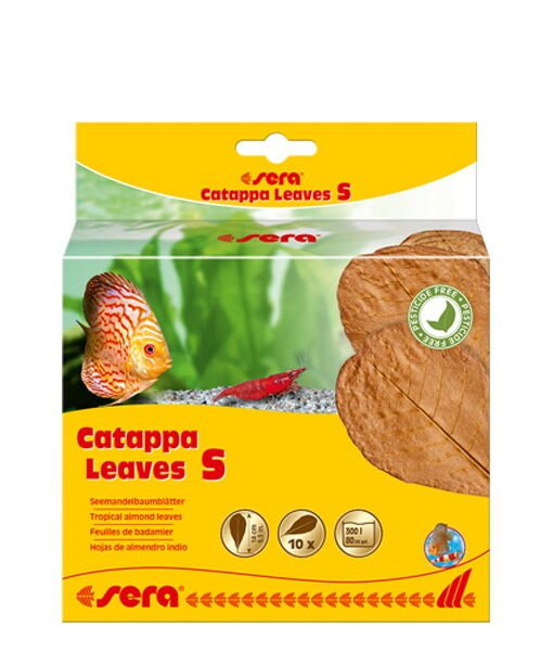 SERA CATAPPA YAPRAĞI S 14 CM ( 10 ADET)