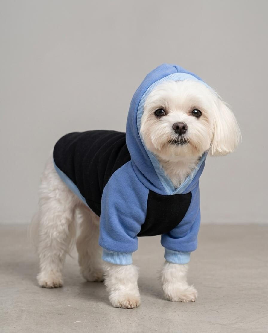 KEDİ-KÖPEK HOODİE (KAPŞONLU) S/M/L/XL/2XL (5'Lİ SET)