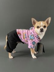 KEDİ-KÖPEK HOODİE (KAPŞONLU) S/M/L/XL/2XL (5'Lİ SET)