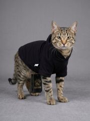 KEDİ-KÖPEK HOODİE (KAPŞONLU) S/M/L/XL/2XL (5'Lİ SET)