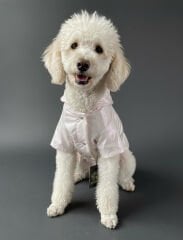 KEDİ-KÖPEK YAĞMURLUK S/M/L/XL/2XL (5'li set)