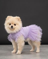 KEDİ-KÖPEK ELBİSE S/M/L/XL/2XL (5'Lİ SET)