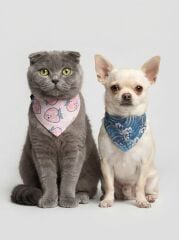TUĞPET FULARLI KEDİ BOYUN TASMA W609