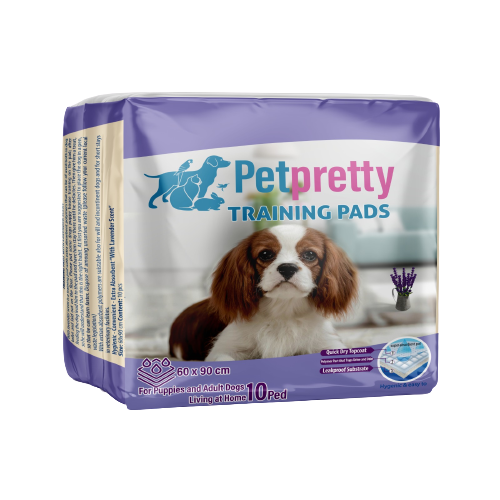 TUVALET EĞİTİM PEDİ LAVANTALI 60X90 CM 10'LU