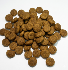 TUGZ KUZULU YETİŞKİN KÖPEK MAMASI 15 KG