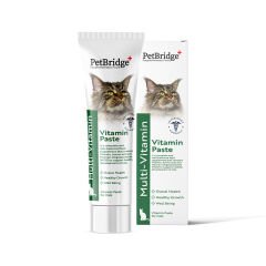PETBRİDGE MULTİVİTAMİN PASTE 100 ML