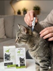 WHİTE VETERİNARY KEDİ ENSE DAMLASI 5 ML (10'LU)