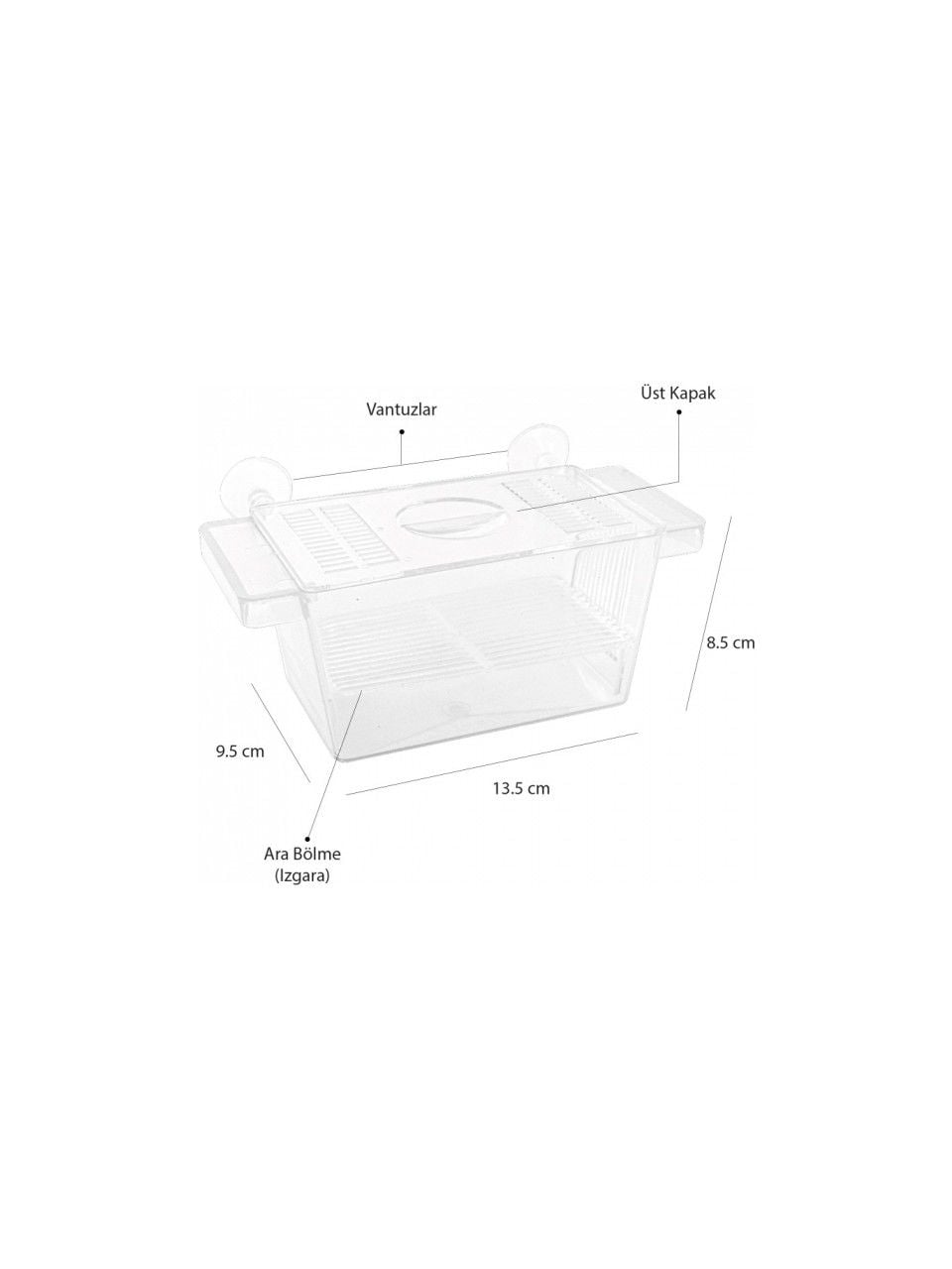 TUĞPET TEKLİ KRİSTAL YAVRULUK