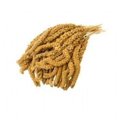 SARI DAL DARI 1 KG