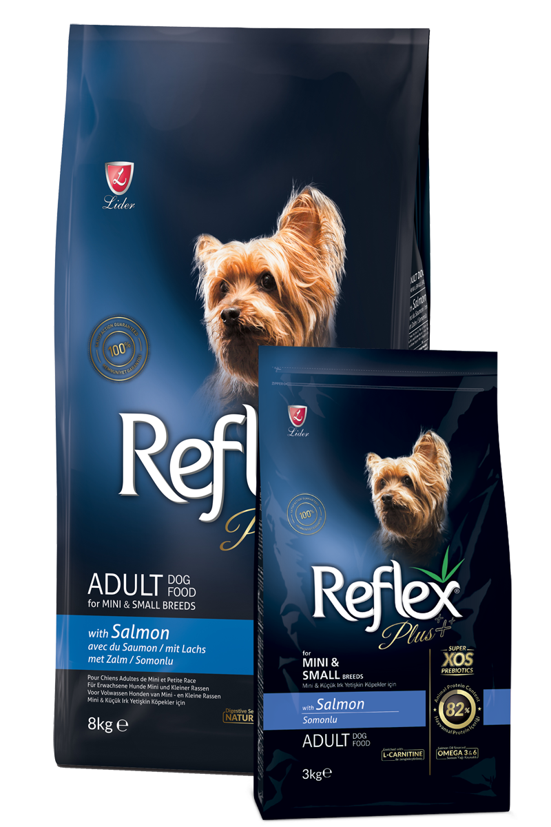 REFLEX PLUS DOG MİNİ&SMALL ADULT SOMON 8 KG