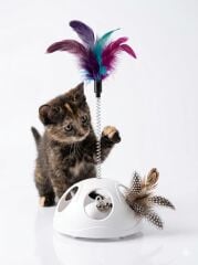 CANS MWJ1279 TÜYLÜ KEDİ OYUNCAĞI