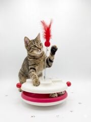 CANS F0306 TÜYLÜ KEDİ OYUN KUTUSU