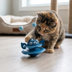 Cans TCR0242 2 Adet Toplu Kedi Oyun Kutusu