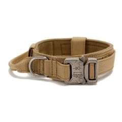LİON KÖPEK BOYUN TASMA L RX010