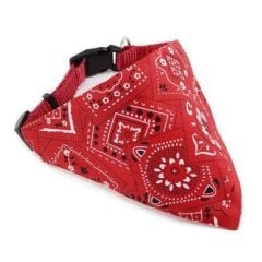 LİON ÜÇGEN FULAR TASMA 81042