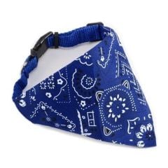 LİON ÜÇGEN FULAR TASMA 81050