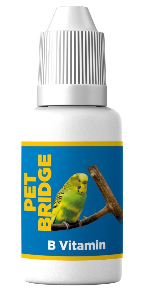 PETBRİDGE BİRD B VİTAMİN 30 CC