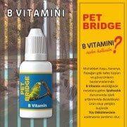 PETBRİDGE BİRD B VİTAMİN 30 CC